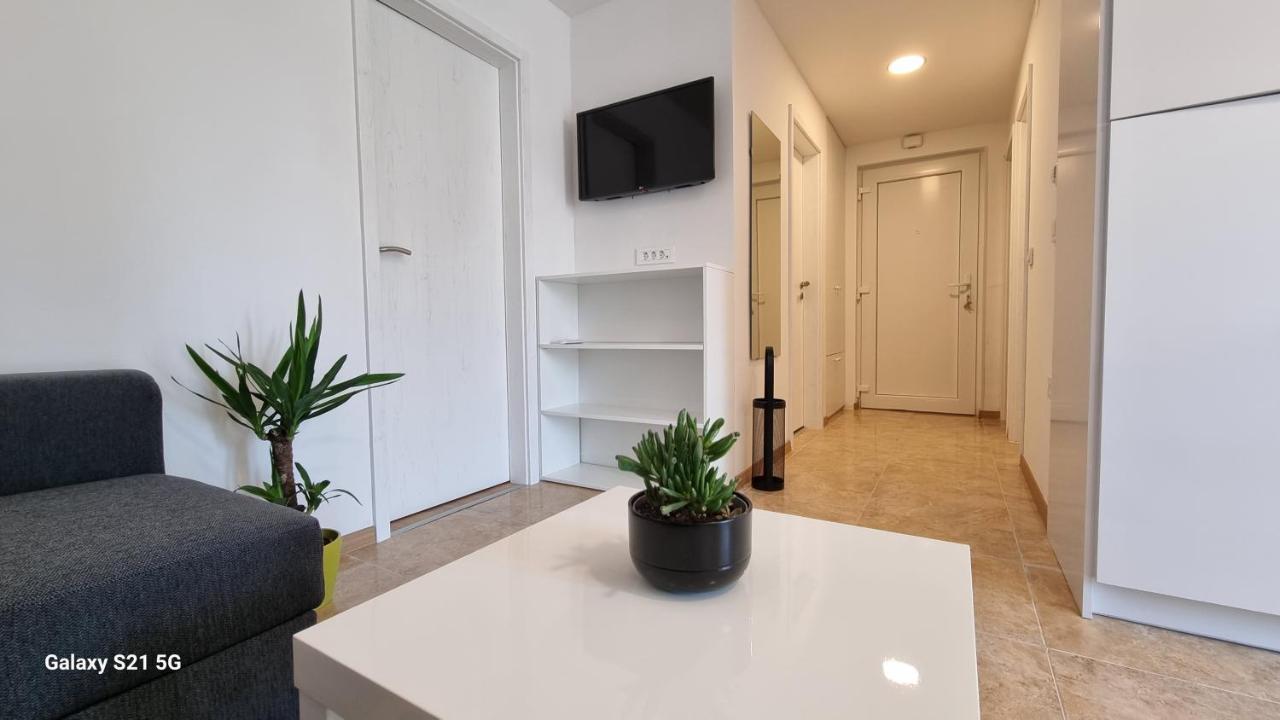 Apartment Rivarela Blu - Newly Renovated And Top Location Near Sea Novigrad Istria المظهر الخارجي الصورة