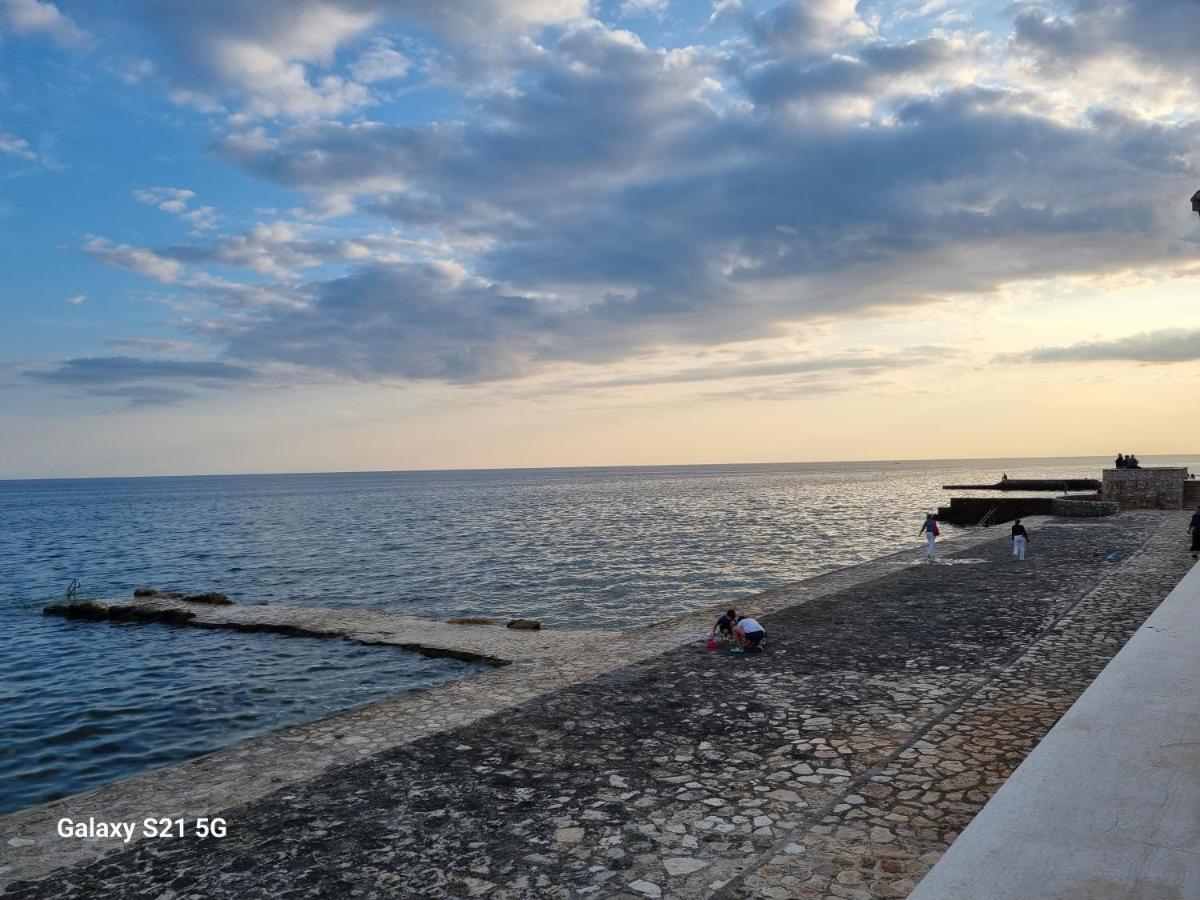 Apartment Rivarela Blu - Newly Renovated And Top Location Near Sea Novigrad Istria المظهر الخارجي الصورة